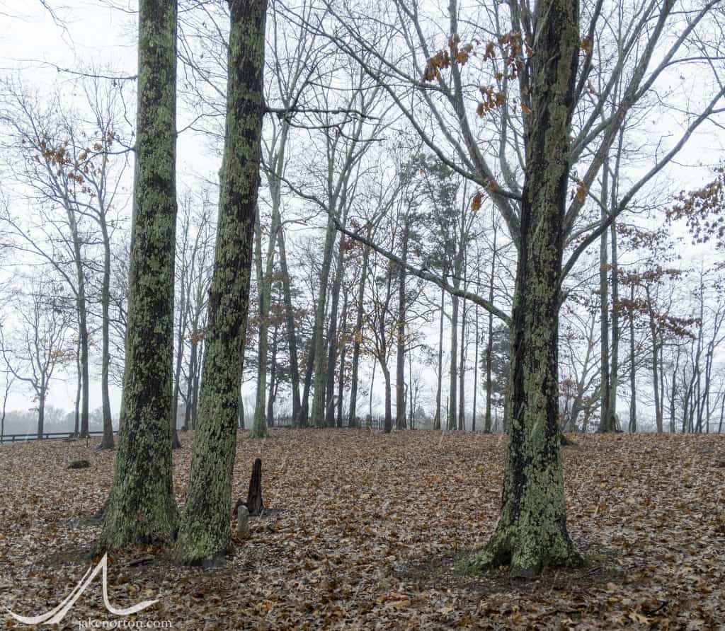 Rain falls hard on the McClellan Cemetery outside Jackson, Tennessee. In the distance is the fence surrounding the deceased, white McClellans, while scattered outside the fence are the broken tombstones of those once enslaved by the family.