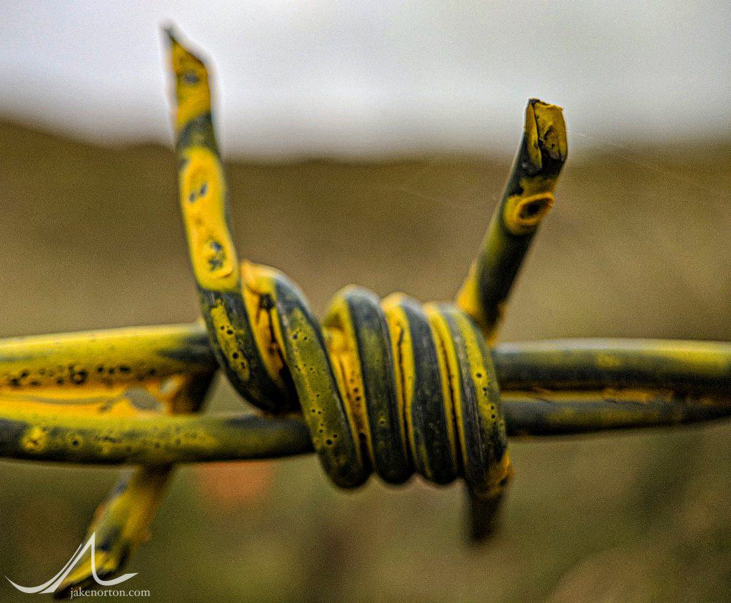 Barbed wire fence to keep some out, and some in.