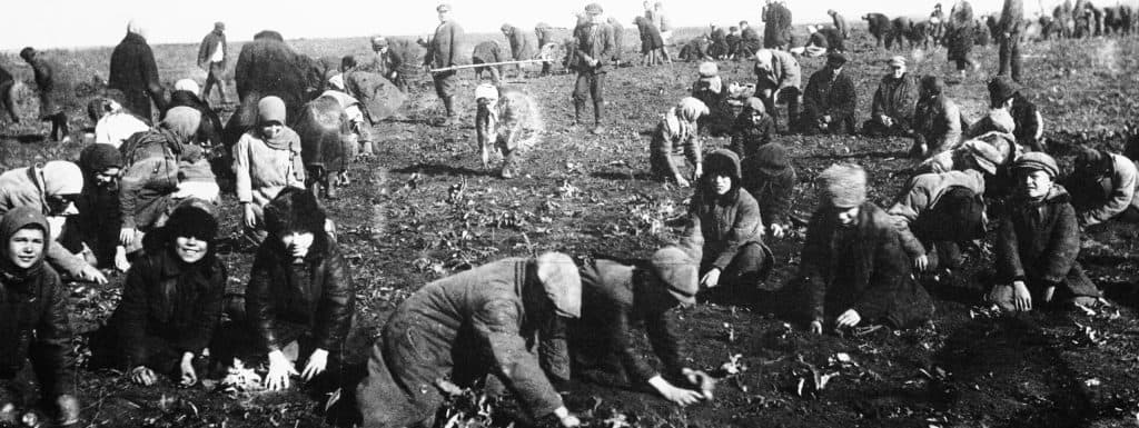Ukrainian children pick frozen potatoes from fields during the Holodomor famine which killed millions in the early 1930s.