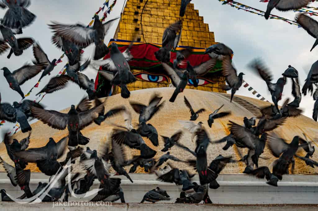 Pigeons flutter in front of the all-seeing Eyes of Buddha at Bodhanath Stupa, Kathmandu, Nepal.